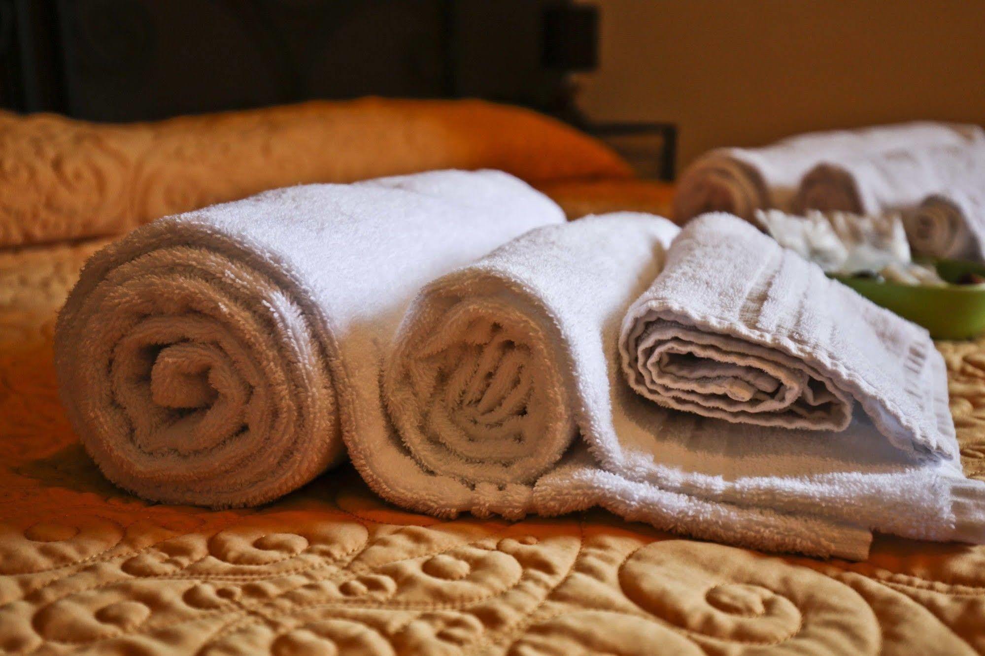 Hotel Villa Maria Luigia 弗拉斯卡蒂 外观 照片