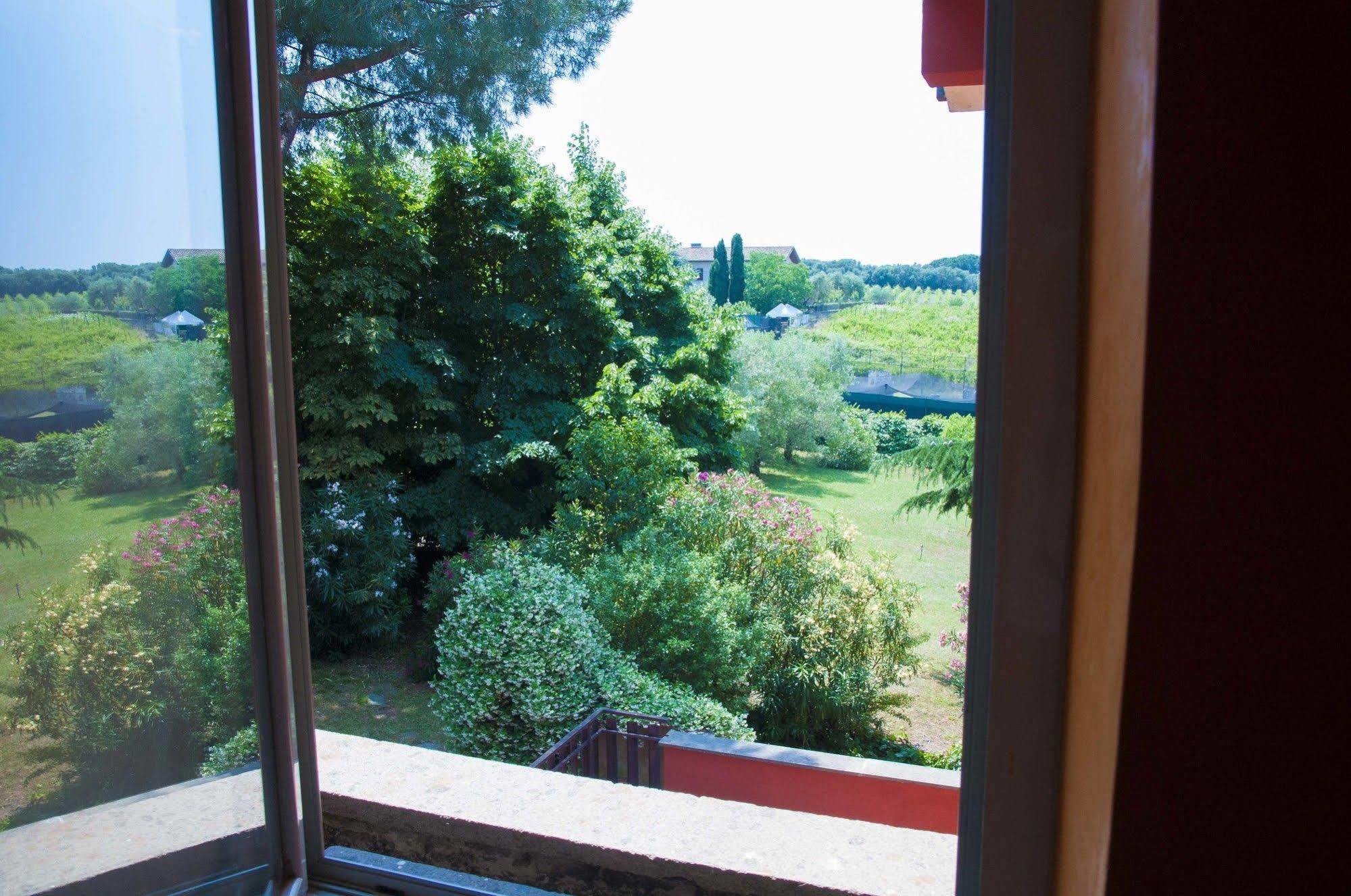 Hotel Villa Maria Luigia 弗拉斯卡蒂 外观 照片