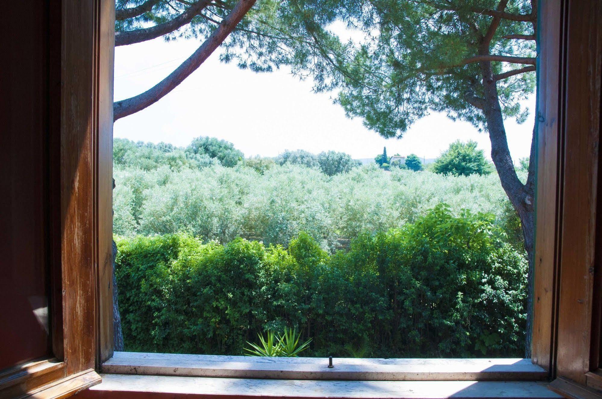 Hotel Villa Maria Luigia 弗拉斯卡蒂 外观 照片
