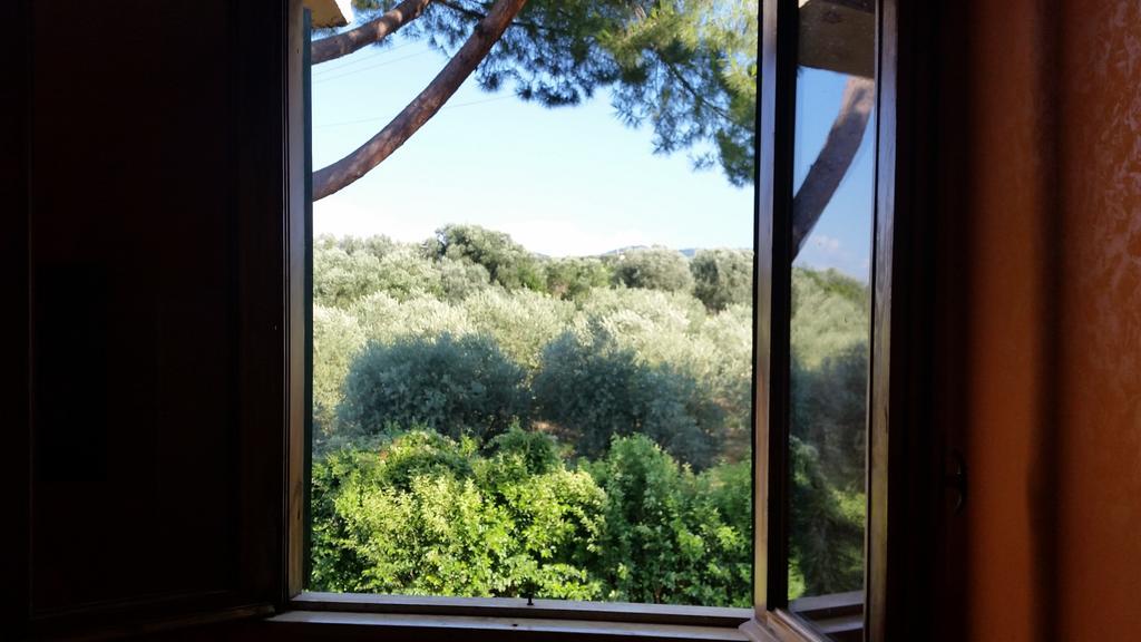 Hotel Villa Maria Luigia 弗拉斯卡蒂 客房 照片